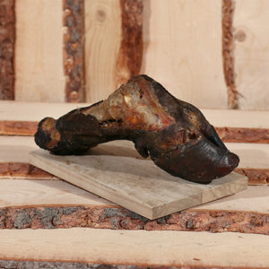 Beef-Hooves